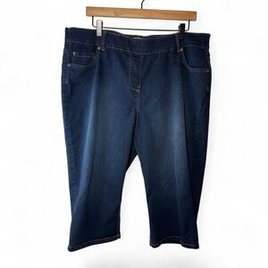 Pennington's Savvy Fit Capri Pants Size 20